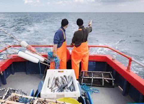 wir setzen uns für ozeane ein