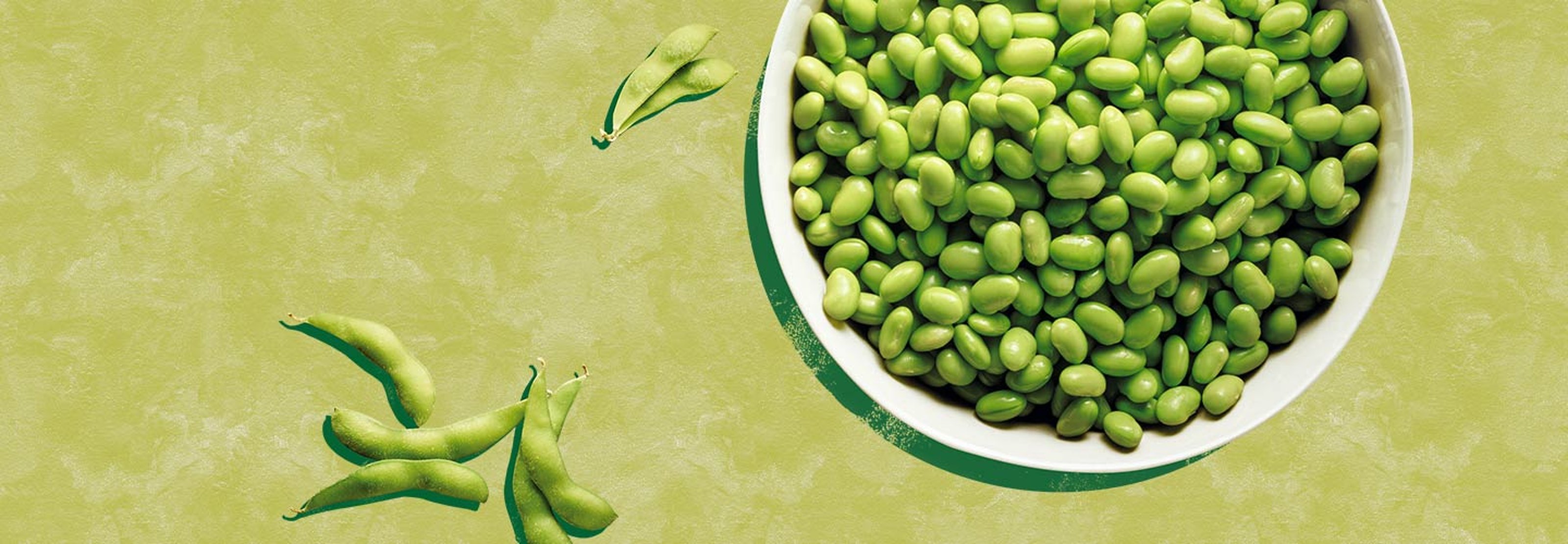 Edamame: Regenerative Food aus dem Marchfeld